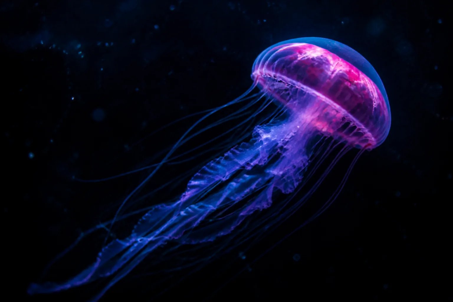 A glowing neon jellyfish drifting through dark ocean water